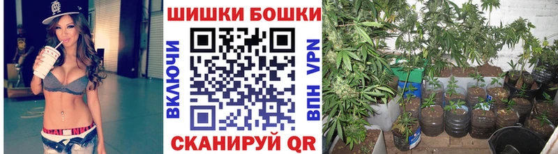 Марихуана ГИДРОПОН  Купить закладки  Суворов 